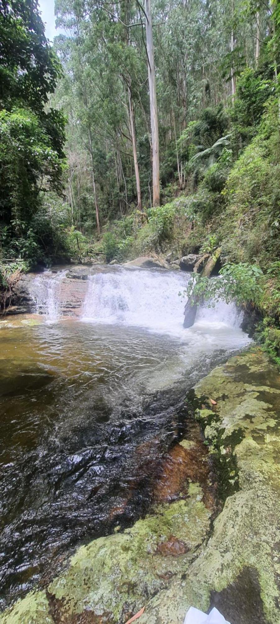 Apartamento Ap Centro Cascatinha Prox Parque Nova Friburgo Exterior foto